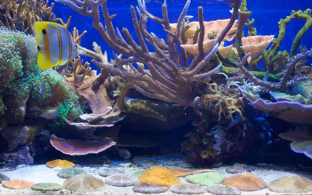 How to Prevent Fish Jumping Out